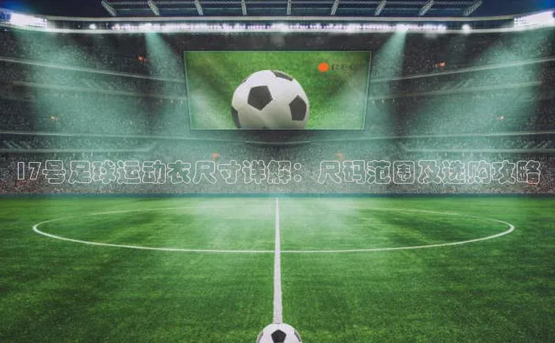 焦点登录平台登录入口百度数据开放平台17号足球运动衣尺寸详解：尺码范围及选购攻略