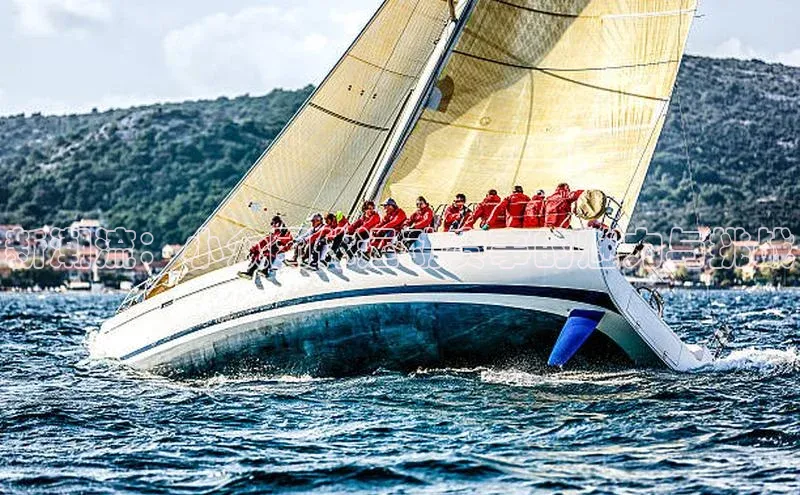 焦点娱乐app下载阿里尔公司新潮流：小众团体运动赛事的魅力与挑战