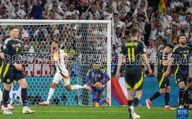 焦点娱乐平台百度集团飞盘竞技盛宴：社区运动的魅力与挑战