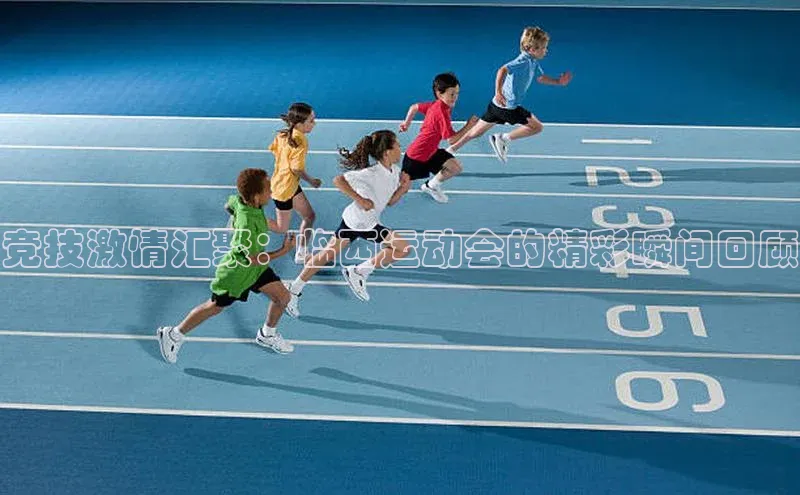 焦点中文app登录入口携程竞技激情汇聚：临西运动会的精彩瞬间回顾