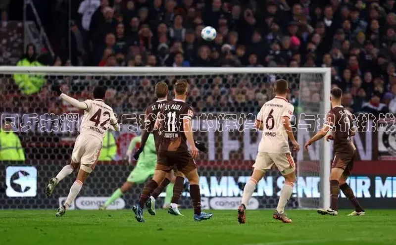 国乒荣耀：乒乓球运动的辉煌历史与现代挑战