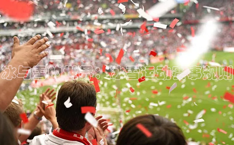 冰与雪的世界：冰雪运动赛事规则