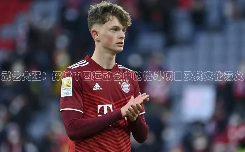 武艺高强：探讨中国运动会中的格斗项目及其文化意义