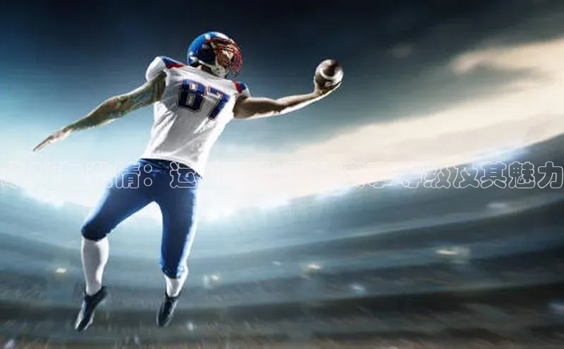 卓越与激情：运动会的不同赛事等级及其魅力