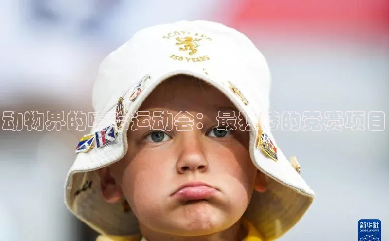 动物界的嘻哈运动会：最独特的竞赛项目