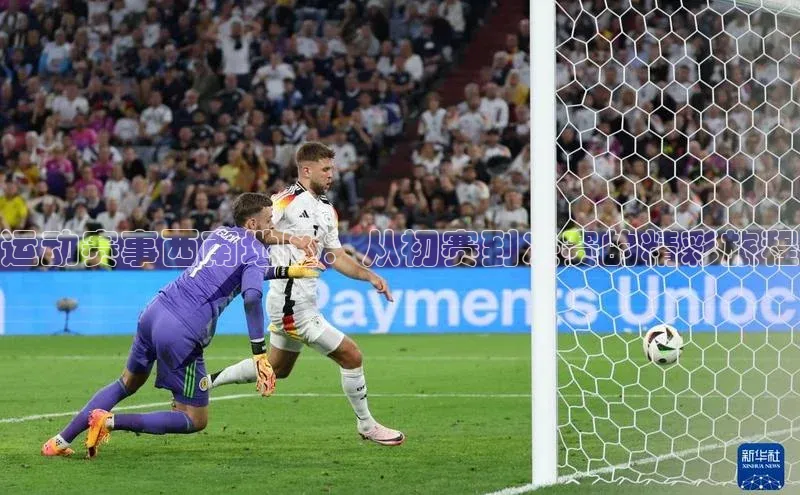 运动赛事西南地区：从初赛到决赛的精彩旅程