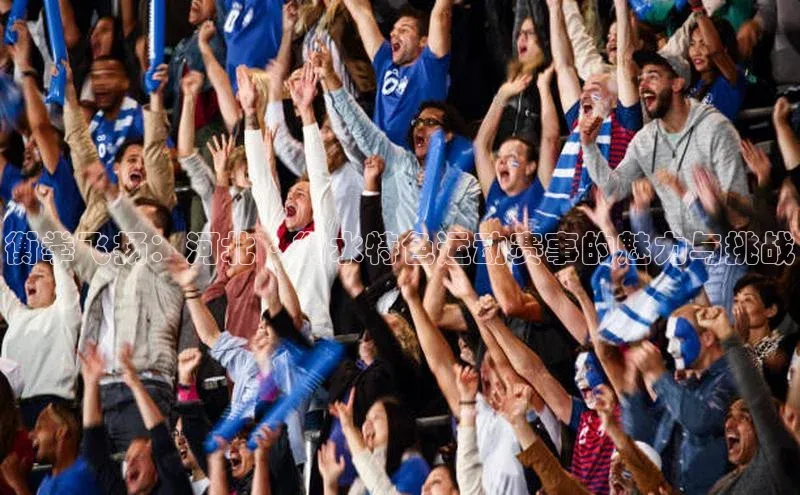 衡拳飞扬：河北·衡水特色运动赛事的魅力与挑战