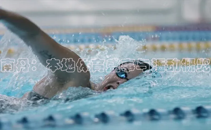 焦点中文app登录入口