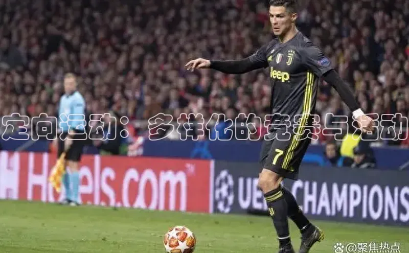 焦点中文app登录入口