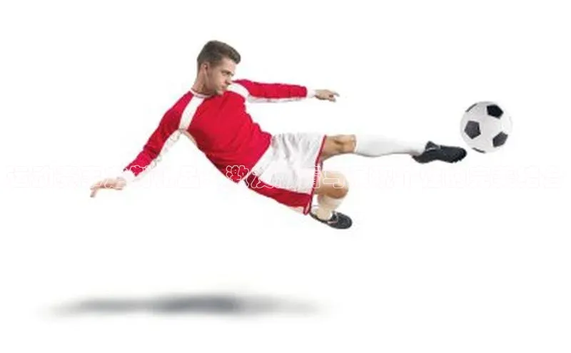 焦点娱乐代理平台