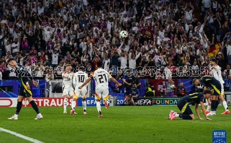 焦点中文app登录入口