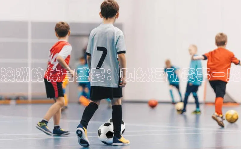 焦点登录平台登录入口